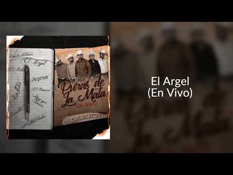 El Argel (En Vivo) - Los Chavalitos