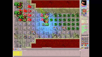 Tibia Hunting Hydra & Serpent Spawn In Banuta, Exp Ridiculamente Alta! [HD]