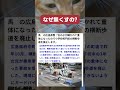 普通は信号機設置するのでは？