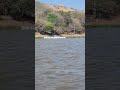 #pesca #saludos 🎏🦢