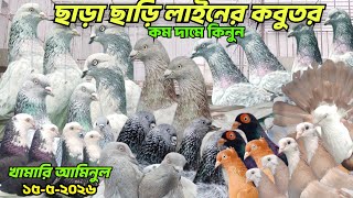 মাগনা দামে গিরিবাজ কবুতর কিনুন,গররা কবুতর বিক্রি হবে বেজি কবুতর, চিলা কবুতর। আমিনুল ভাইয়ের লফ্ট