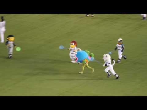 オールスター第２戦 謎の魚ついにグラウンドに現る。が、トラッキーに捕獲される。