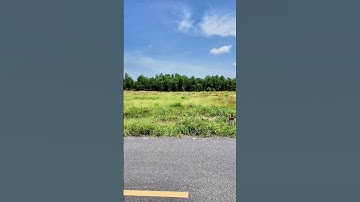 Xã Đất Đỏ TP HCM Khu Vực Gần Biển 10x36-360m Có 160m Thổ Cư Giá 1,7 Tỷ #ganbien #longhai #phuochai