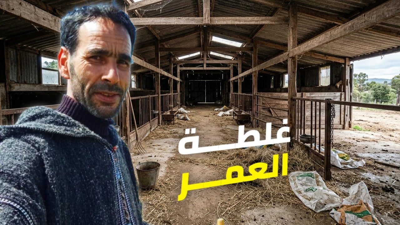 ⚠️ رد باااالك قبل ماتفكر تشد كريدي بالربا؟ 💸 هاد الغلطة خلات كساب كبير كيسعى فالزنقة!😱💔