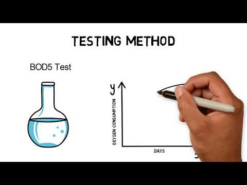 Video: În timpul tratamentului biologic raportul cod/bod scade?