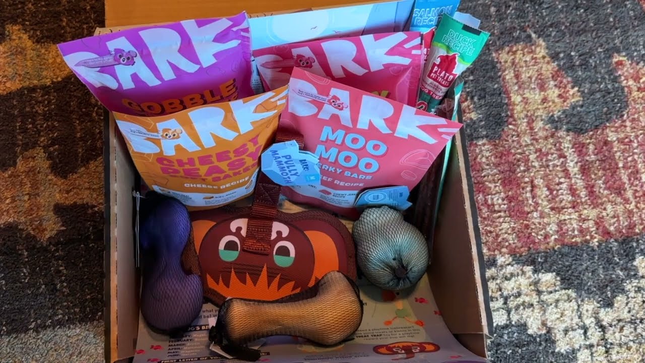 January 2025 BarkBox Unboxing | The DIY Guide | Ep 325