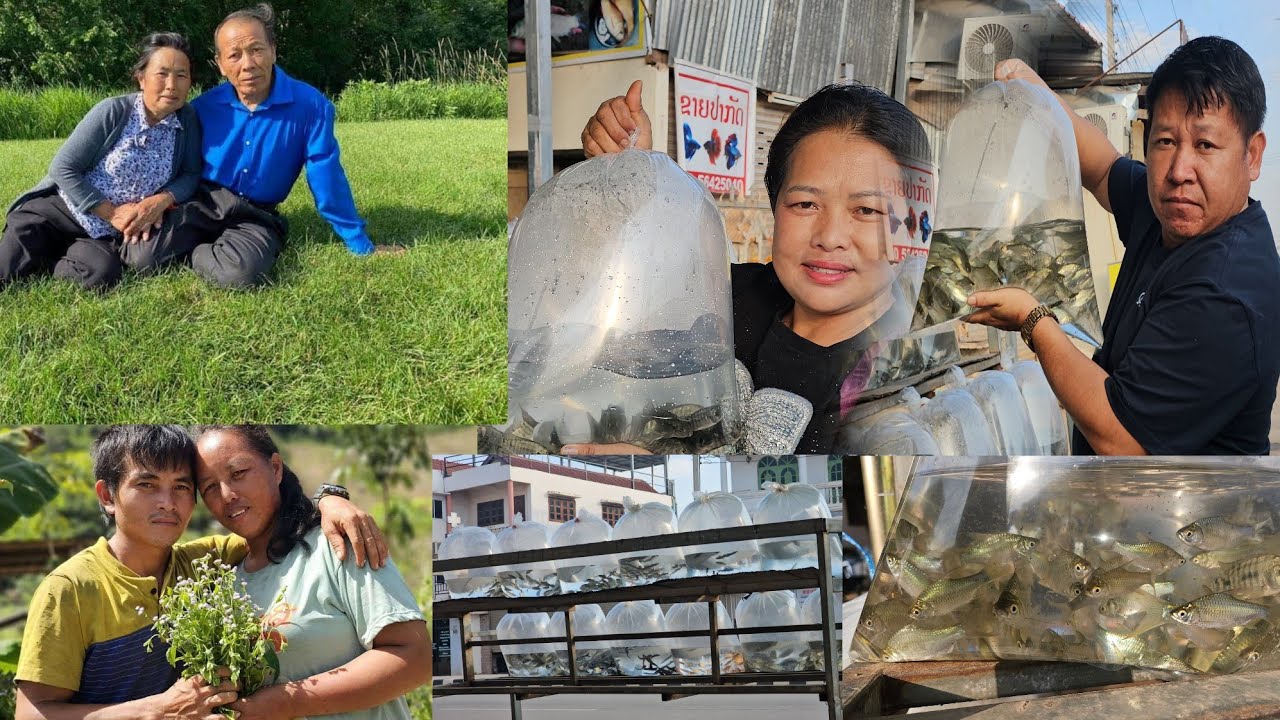 Ua tsaug dab laug niam dab laug yuav ntses rau vauv phiab thiab niam tais