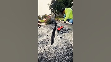 They destroyed it… then made it look untouched. (@landscaping_with_dylan)