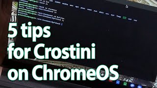 5 getting started tips for the Linux application support (Crostini) on ChromeOS