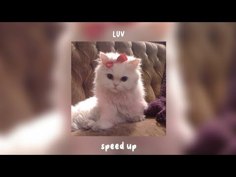 luv speed up - ernie zakri ft sabronzo