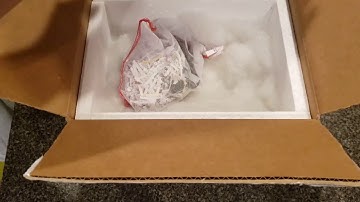 Trick, Het Red Axanthic, Yellow Belly Unboxing