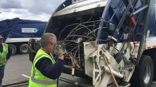 El Dorado Disposal Clean Up 2016 (El Dorado Hills)