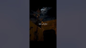 ماهر المعيقلي – سورة الأحزاب 56 | #ماهر_المعيقلي #سورة_الأحزاب #تلاوة_خاشعة #تلاوة_مؤثرة #قرآن_كريم
