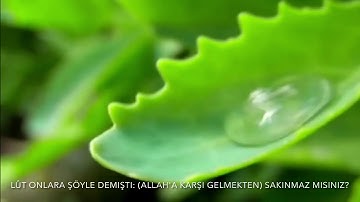 سورة الشعراء - كذبت قوم لوط المرسلين
