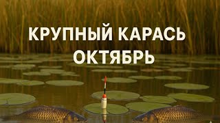 видео: Закрываем сезон Рыбалки! Карась  картинка: Закрываем сезон Рыбалки! Карась