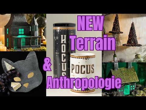 anthropologie terrain
