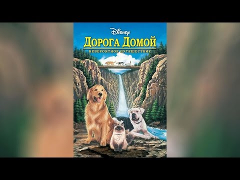 Дорога домой Невероятное путешествие (1993)