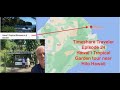 Timeshare Traveler Episode 24 Hawaii Tropical Garden tour near Hilo Hawaii