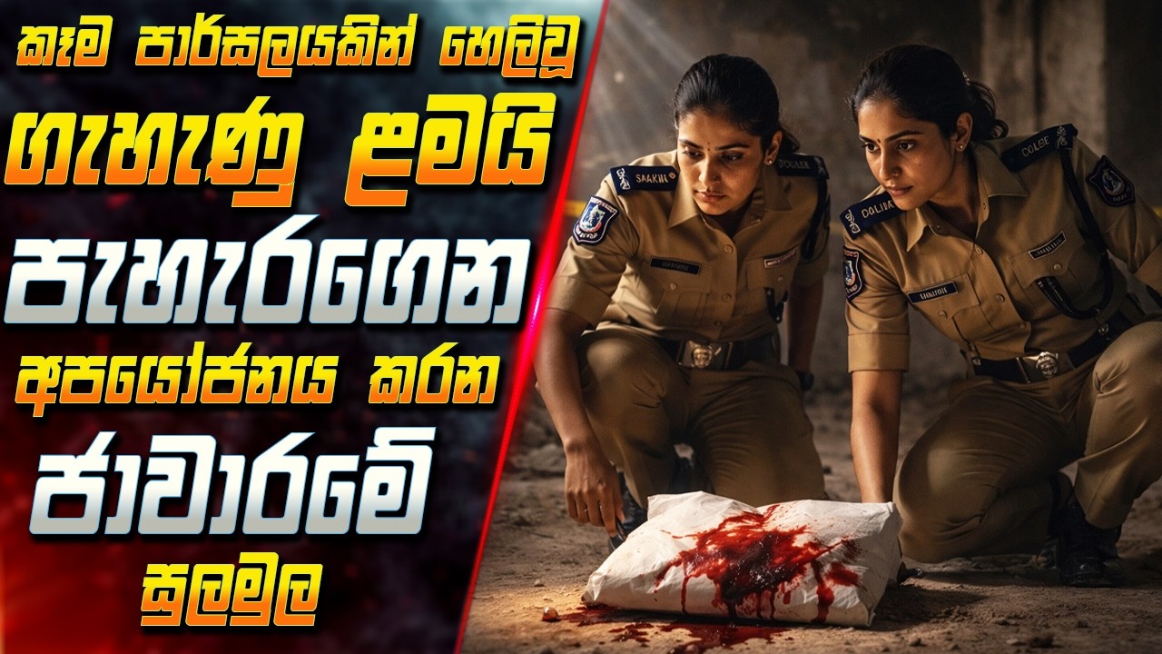 කෑම පාර්සලයකින් හෙලිවූ ගැහැණු ළමයි පැහැරගෙන අපයෝජනය කරන ජාවාරමේ සුලමුල 😱 Full Movie | Inside Cinema