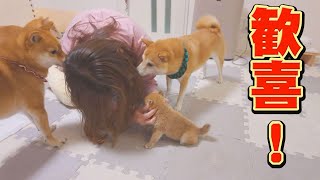 ママの帰りを喜び、全力で駆け寄ってくる子犬が可愛い