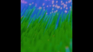 Windy Grass Animation - Blender Geometry Nodes