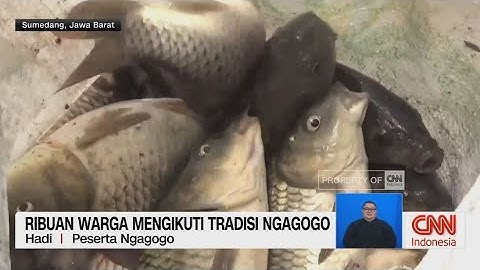 Tradisi Menangkap Ikan Saat Kemarau
