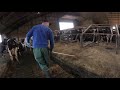 Farm #WithMe Cure Cows Vaccination Injection, Pretty Girl Cow Feeding Milking Farming​ 2021