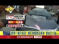 拒檢衝撞警「挨轟11槍」 宜蘭駕駛逃50公里躲部落被逮