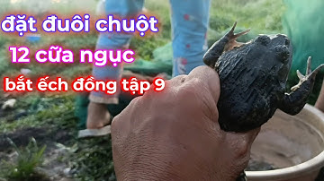 Đặt đuôi chuột 12 cửa ngục bắt ếch đồng - tập 9