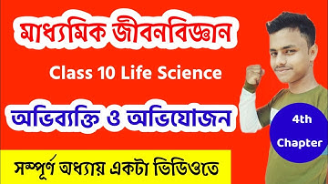 অভিব্যক্তি ও অভিযোজন : Evolution: Chapter 4: WBBSE Class 10 Life science: মাধ্যমিক জীবনবিজ্ঞান