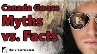Canada Goose Myths Vs. Facts