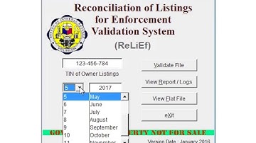 How to convert excel file to BIR Relief Purchases DAT File