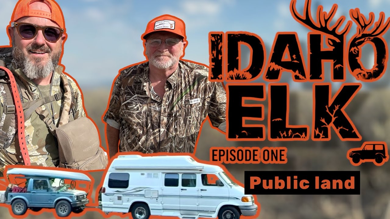 ELK EVERYWHERE! PUBLIC LAND IDAHO! Part 1