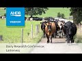 Dairy research conference lameness