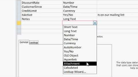 Microsoft Access Beginner Level 01. Lesson 05. Customer Table, Part 2