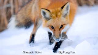 Big Furry Fox (Ylvis vs. Amon Tobin)