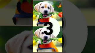 इस फोटो में 5 चेंज बताओ ||illusion shortvideo shortvideo puzzle ??