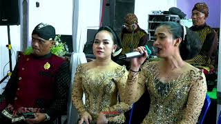 Download Lagu PAMBUKO CAMPURSARI By JE-GOZZ PRO (JEGOS) CAMPURSARI TERBARU 2025 MP3