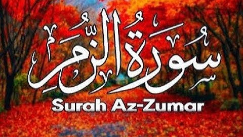 الله خالق كل شيء وهو على كل شيء وكيل | تلاوة خاشعة تهز الجوارح من سورة الزمر