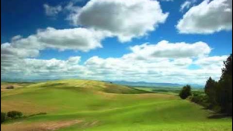 تلاوة خاشعة من "سورة الزمر"