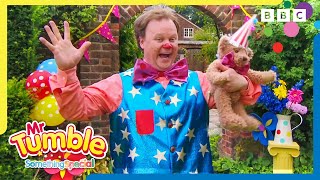 Big Surprises with Mr Tumble ⭐ | Mr Tumble and Friends