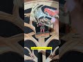 Три пентаклей в Таро #таро #таромастер #tarot #курсытаро