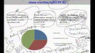 Mod-01 Lec-10  Lecture-10-Introduction to Biomaterials