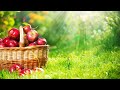 رائعة المنشد عبدالله المهداوي حلم التخرج رائعة المنشد عبدالله المهداوي حلم التخرج