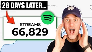 These Easy-To-Copy Ads Gave Me 66,000 Spotify Streams In 28 Days These Easy-To-Copy Ads Gave Me 66,000 Spotify Streams In 28 Days