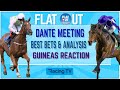 Dante meeting preview  full analysis and tips  guineas reaction  flat out