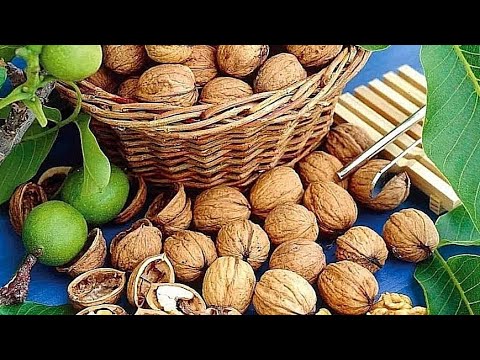 Какие орехи самые полезные | Орехи грецкие дешевле покупать в скорлупе ...