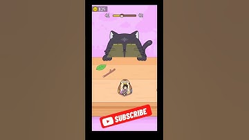 Hide and Seek: Cat escape! 😺😸😻 - level 41-42