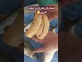 سمك البورى البطارخ