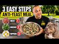 This Cheap Homemade Dog Food Recipe Stops Yeast Infections Fast!